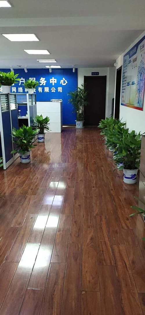融合与创新 网络信息技术开发与系统性服务的新范式